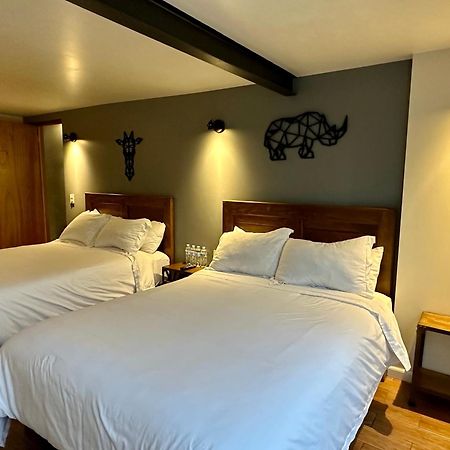 Casa Raffaello Hotel Kota Meksiko Bagian luar foto