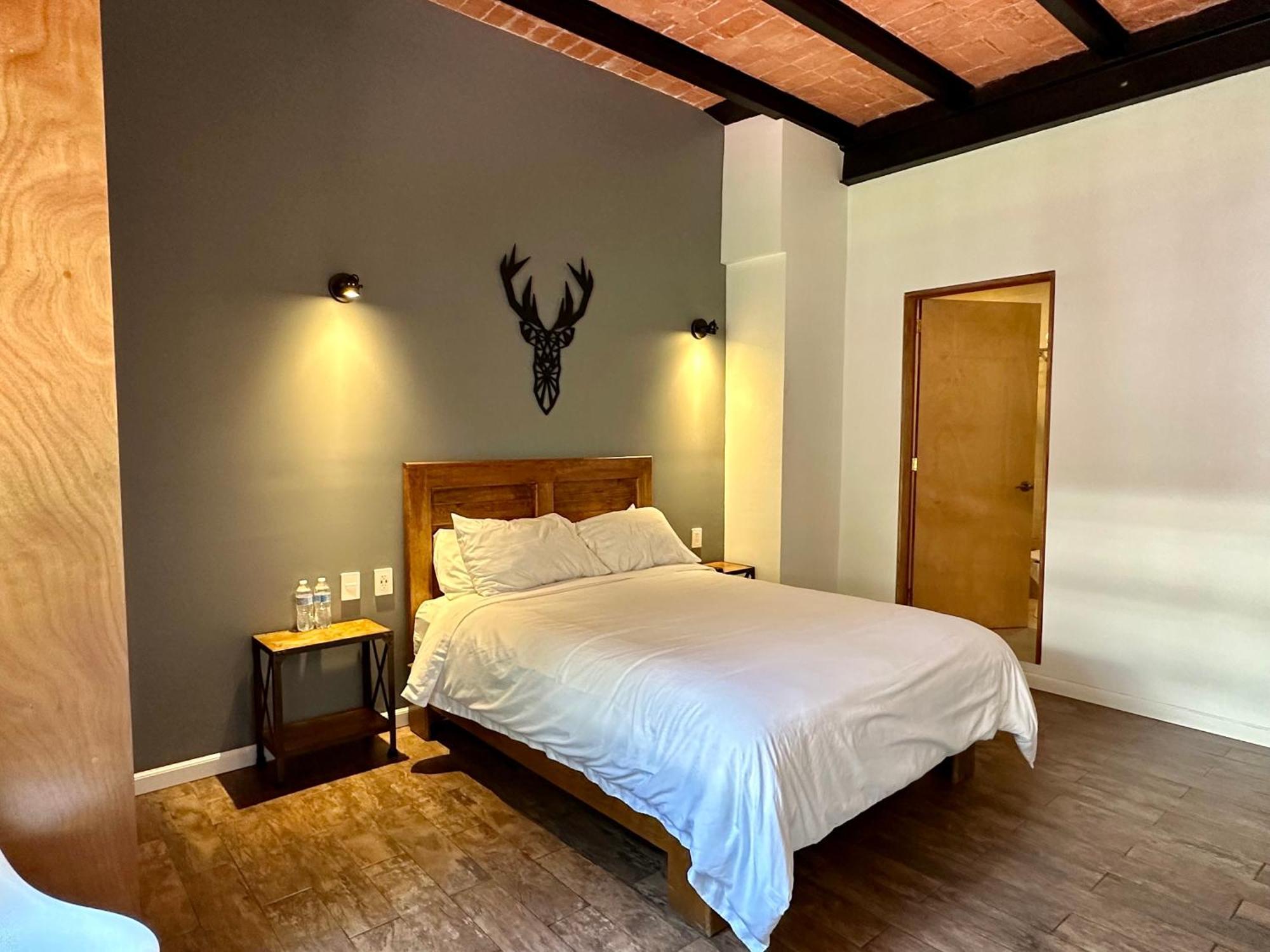 Casa Raffaello Hotel Kota Meksiko Bagian luar foto